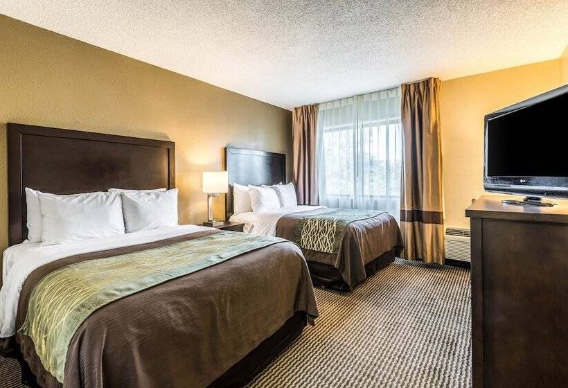 هتل Comfort Inn Downtown