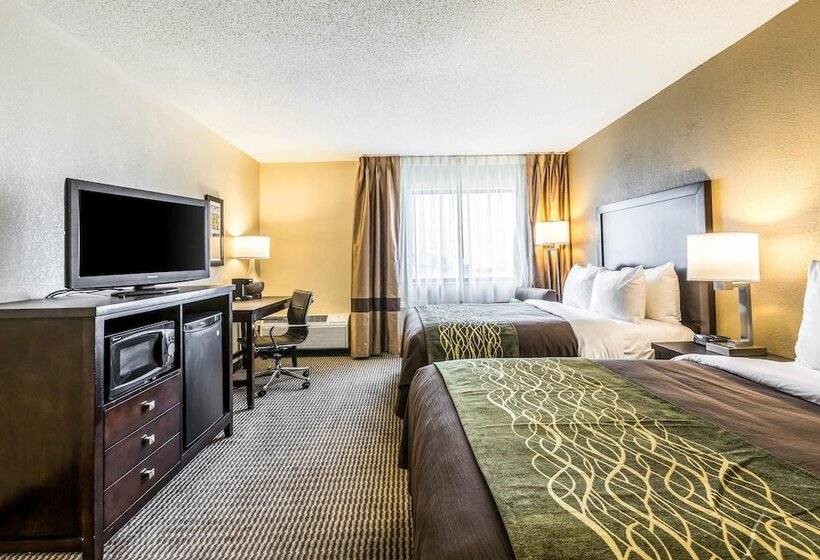 هتل Comfort Inn Downtown