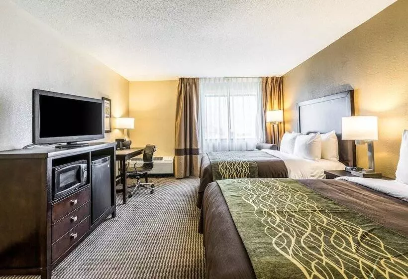 ホテル Comfort Inn Downtown