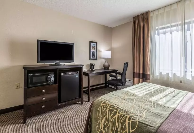 ホテル Comfort Inn Downtown