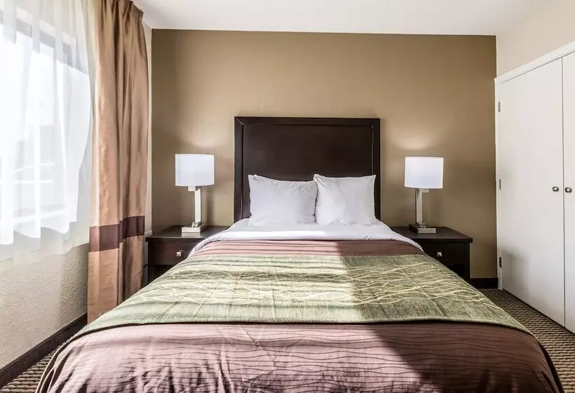 ホテル Comfort Inn Downtown