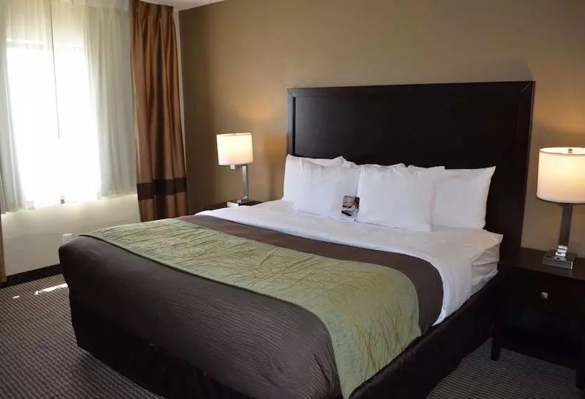 ホテル Comfort Inn Downtown