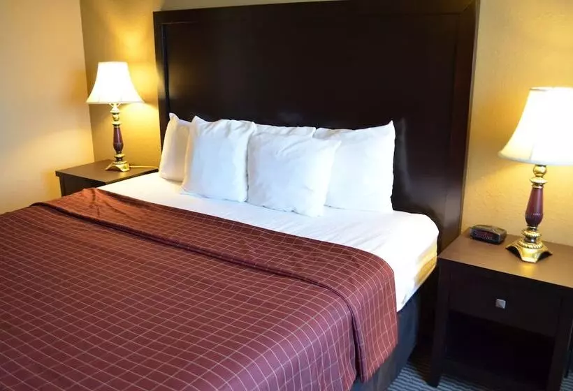 ホテル Comfort Inn Downtown