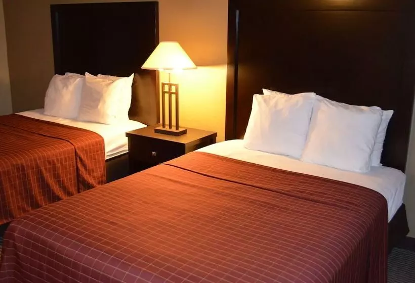 ホテル Comfort Inn Downtown