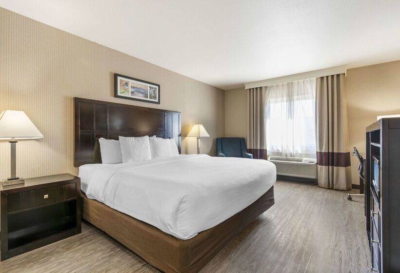 호텔 Comfort Inn Troutdaleportland East