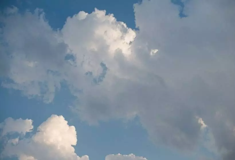 ホテル Inn At Monticello