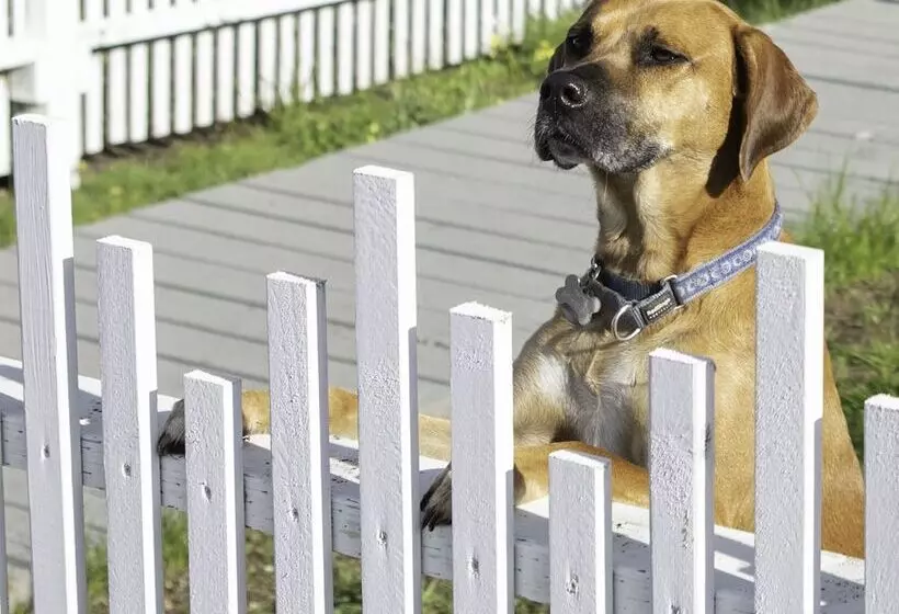 酒店 Inn At Schoolhouse Creek