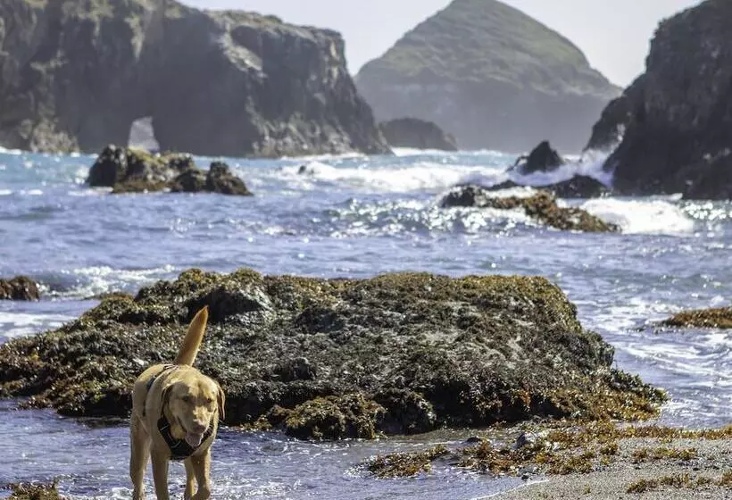 酒店 Inn At Schoolhouse Creek