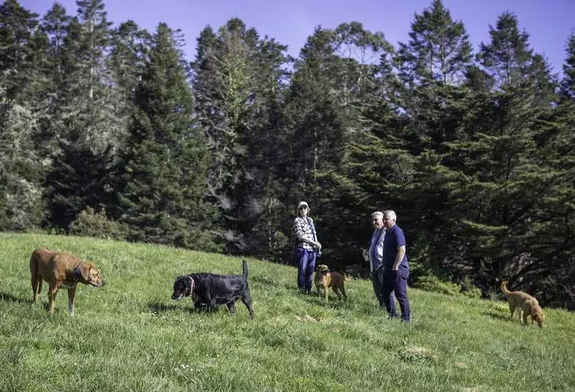 酒店 Inn At Schoolhouse Creek