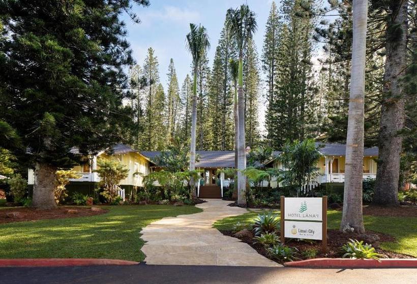 فندق Lanai