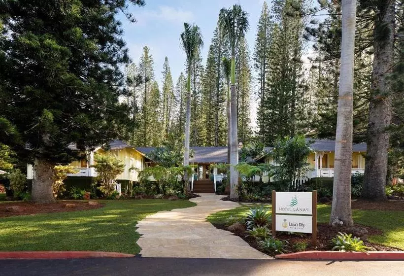 هتل Lanai