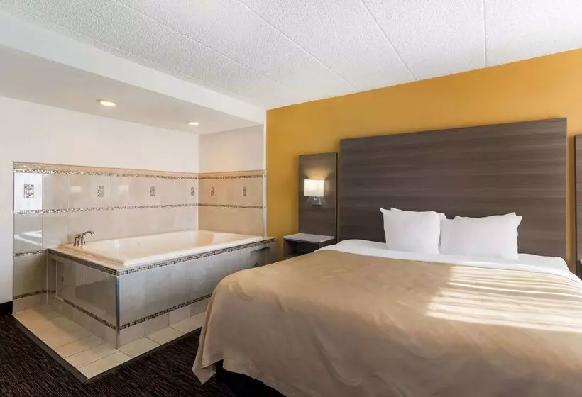 ホテル Quality Suites Milwaukee Airport