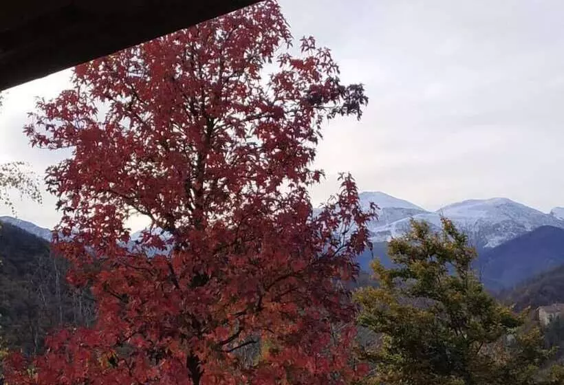 Aamiaismajoitus (B&B) Agriturismo Locanda Cà Del Pian