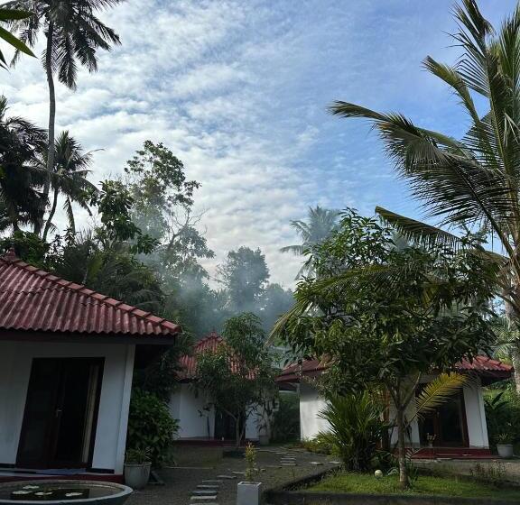 פנסיון My Paradise