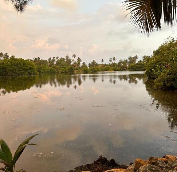 פנסיון My Paradise