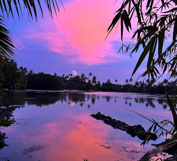 פנסיון My Paradise