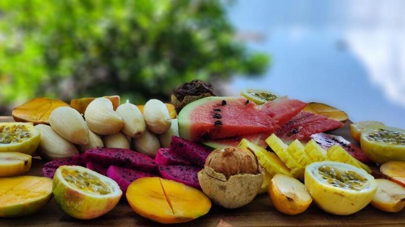 פנסיון My Paradise