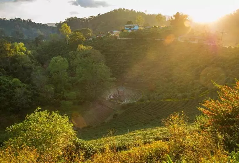 เลาลีฮิลล์รีสอร์ท Laulee Hill Resort
