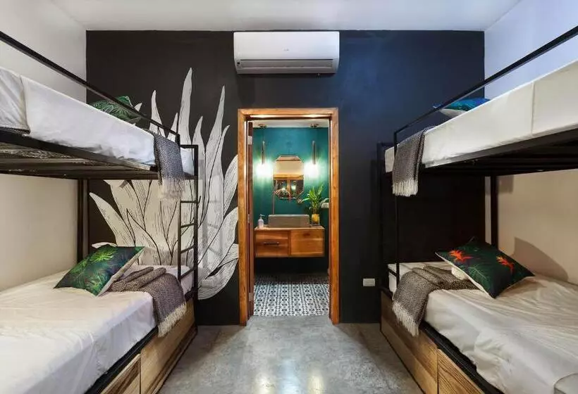 Retkeilymaja The Space Jungle Oasis