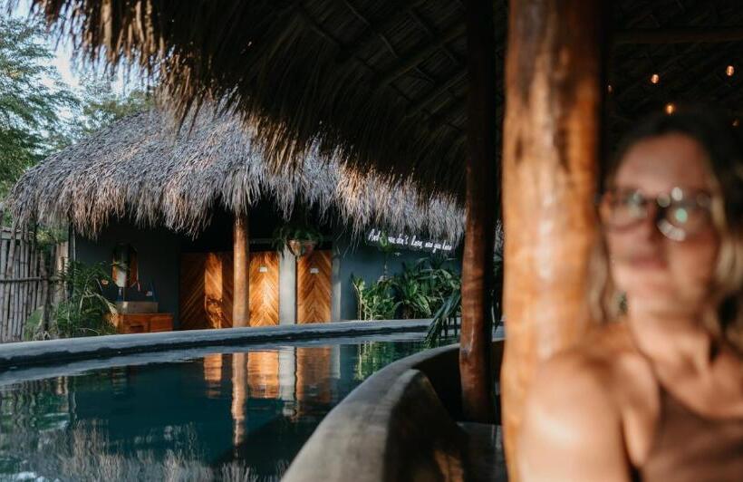 هاستل The Space Jungle Oasis