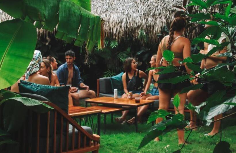 هاستل The Space Jungle Oasis