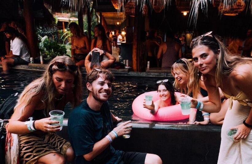 هاستل The Space Jungle Oasis