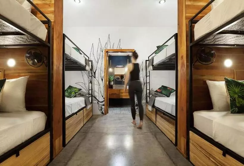 Retkeilymaja The Space Jungle Oasis