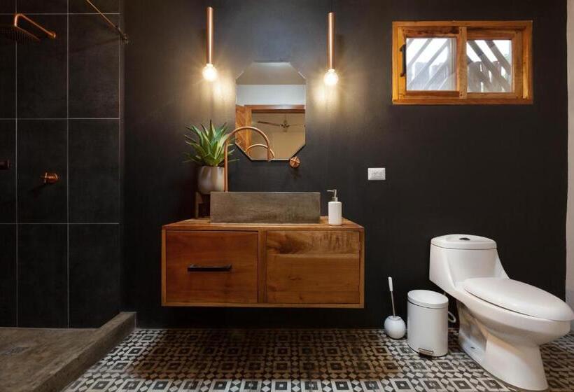 هاستل The Space Jungle Oasis