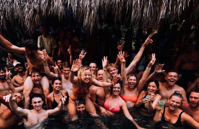 هاستل The Space Jungle Oasis