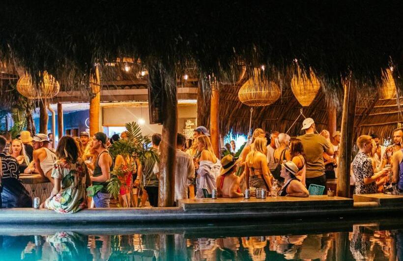 هاستل The Space Jungle Oasis