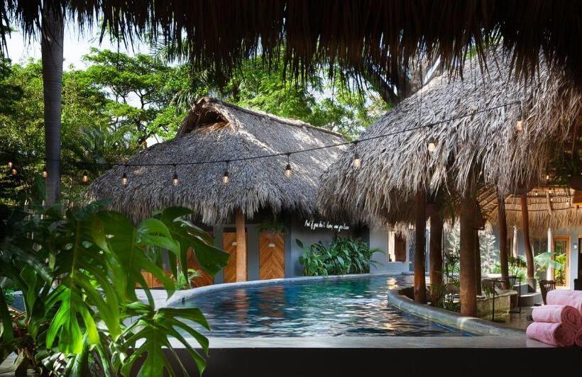 هاستل The Space Jungle Oasis