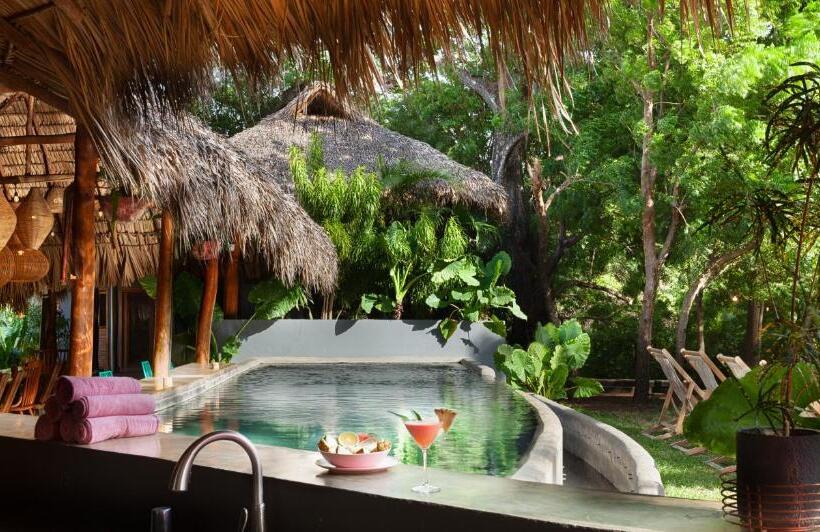 هاستل The Space Jungle Oasis