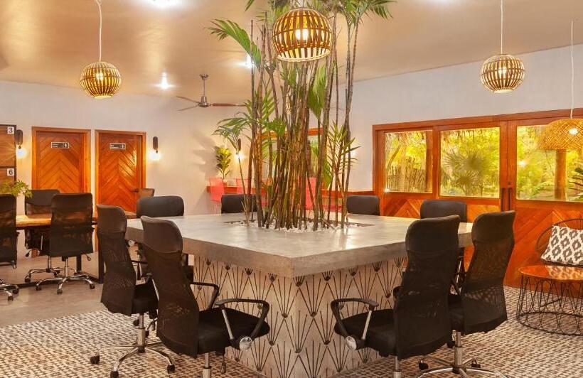 هاستل The Space Jungle Oasis