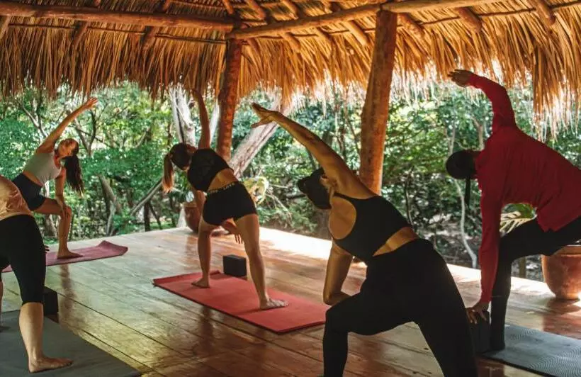 Retkeilymaja The Space Jungle Oasis