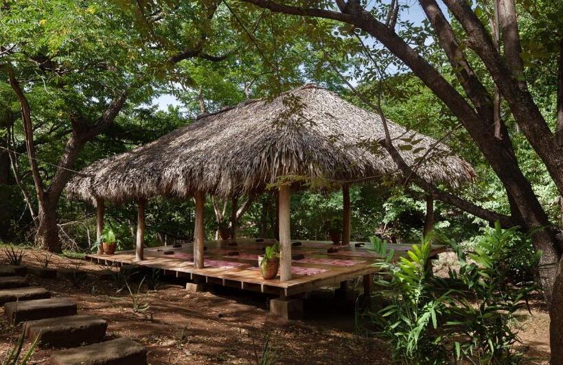 هاستل The Space Jungle Oasis