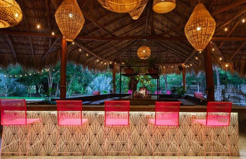 هاستل The Space Jungle Oasis