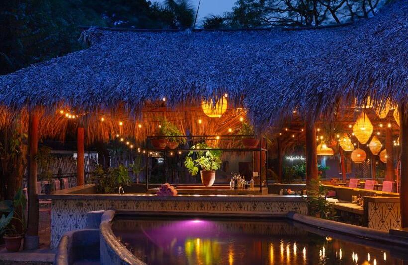 هاستل The Space Jungle Oasis