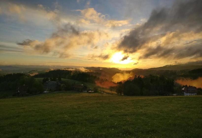 فندق Thurner Wirtshaus