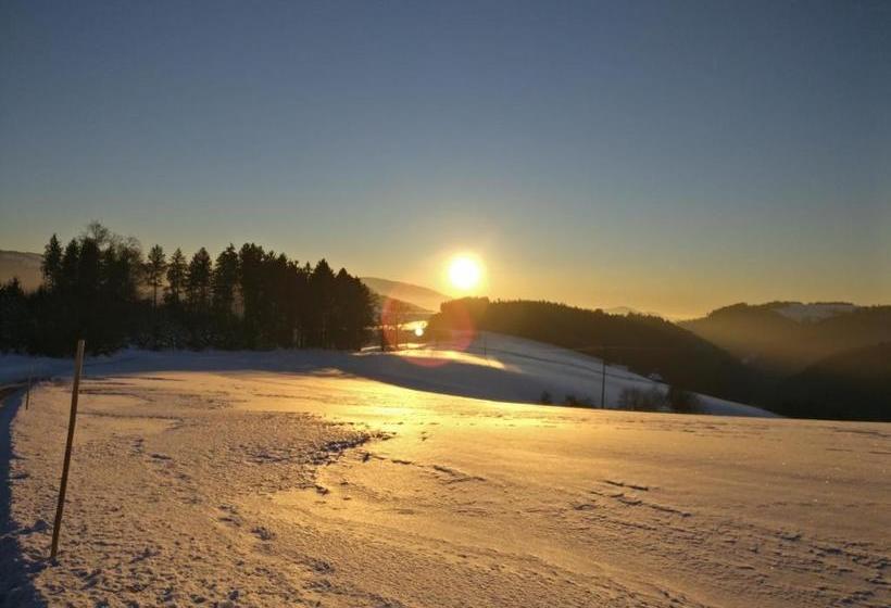 فندق Thurner Wirtshaus