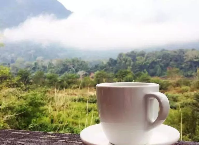 ユースホステル Suanphao Guesthouse