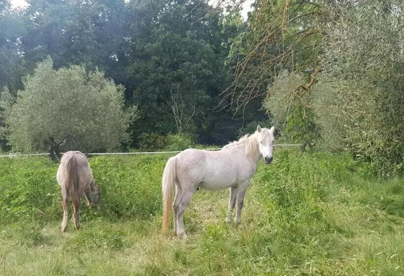 Hotelli Domaine Du Bérange