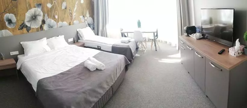 ベッドアンドブレックファースト Family Fewo Sibiu