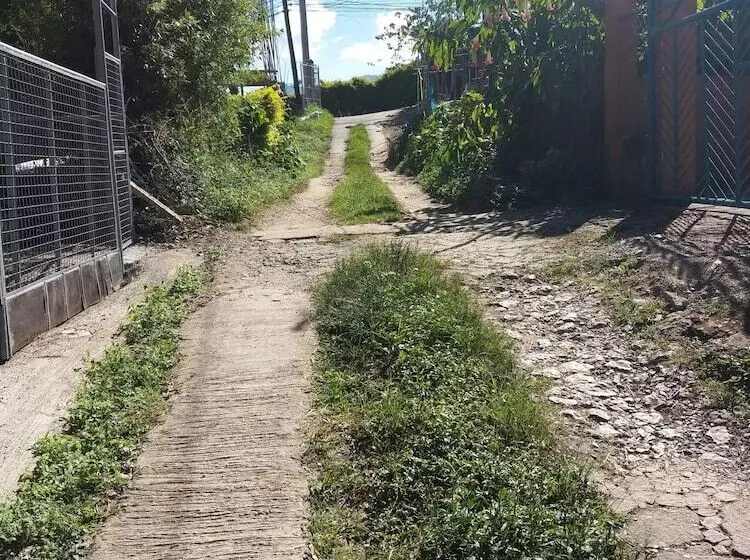 Guest Haven House Bed & Breakfast