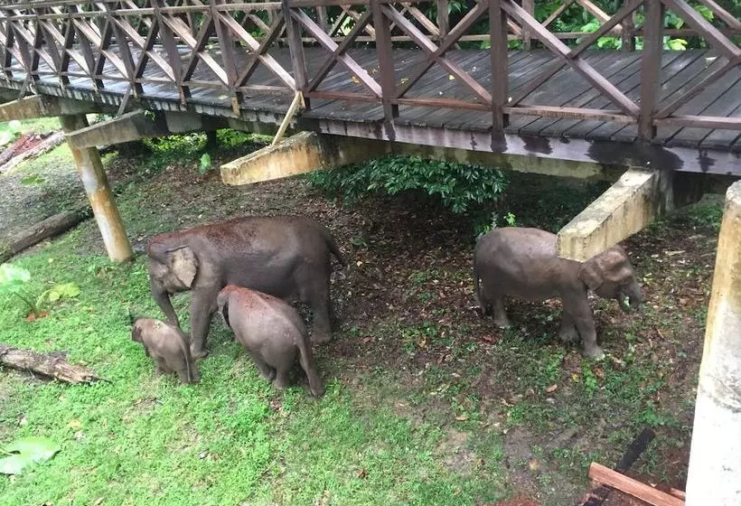 ホテル Kawag Nature Lodge