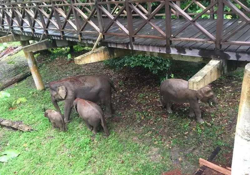 ホテル Kawag Nature Lodge