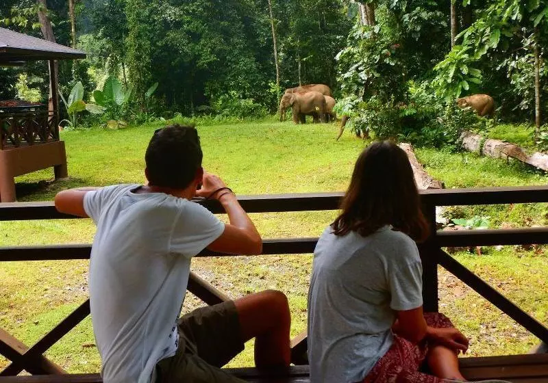 ホテル Kawag Nature Lodge