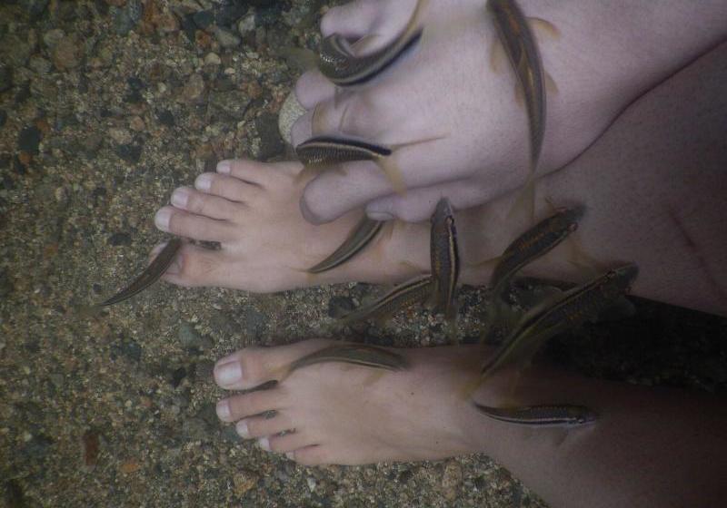 Hotel Kawag Nature Lodge