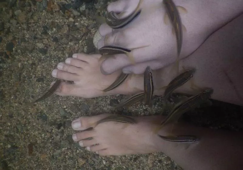 ホテル Kawag Nature Lodge