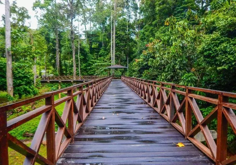 ホテル Kawag Nature Lodge