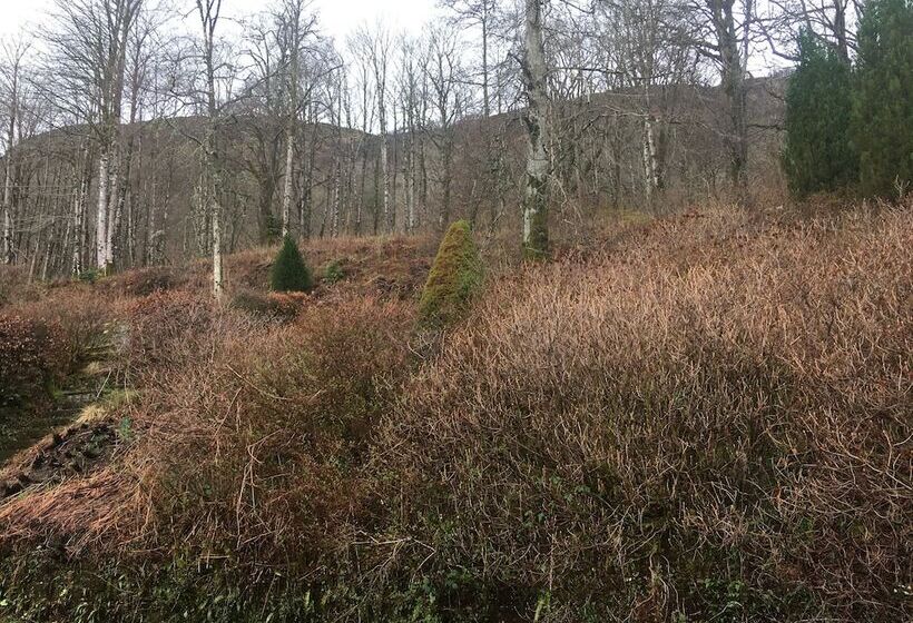 Invercreran Lodge Luxury Bed & Breakfast